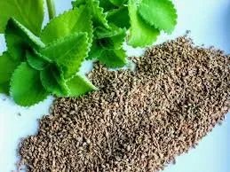 Ajwain – Carom Seeds